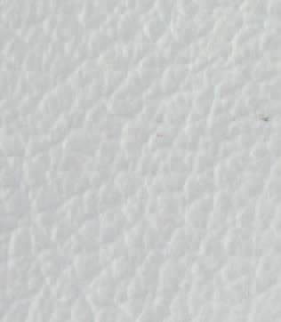02-white.jpg